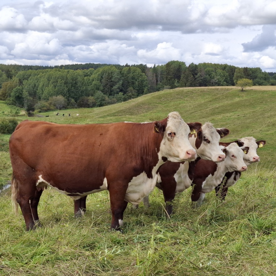 20250822 133846 Rajattu 